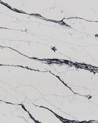 Unique Calacatta Black